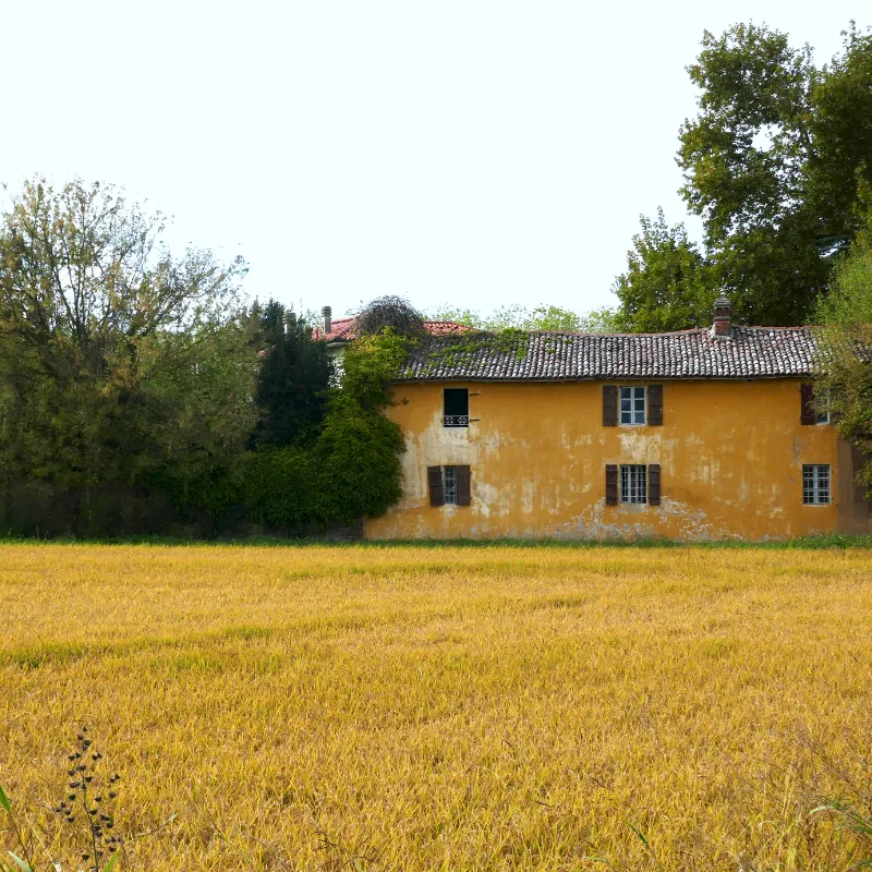 Reism&uuml;hle Riseria Masinari