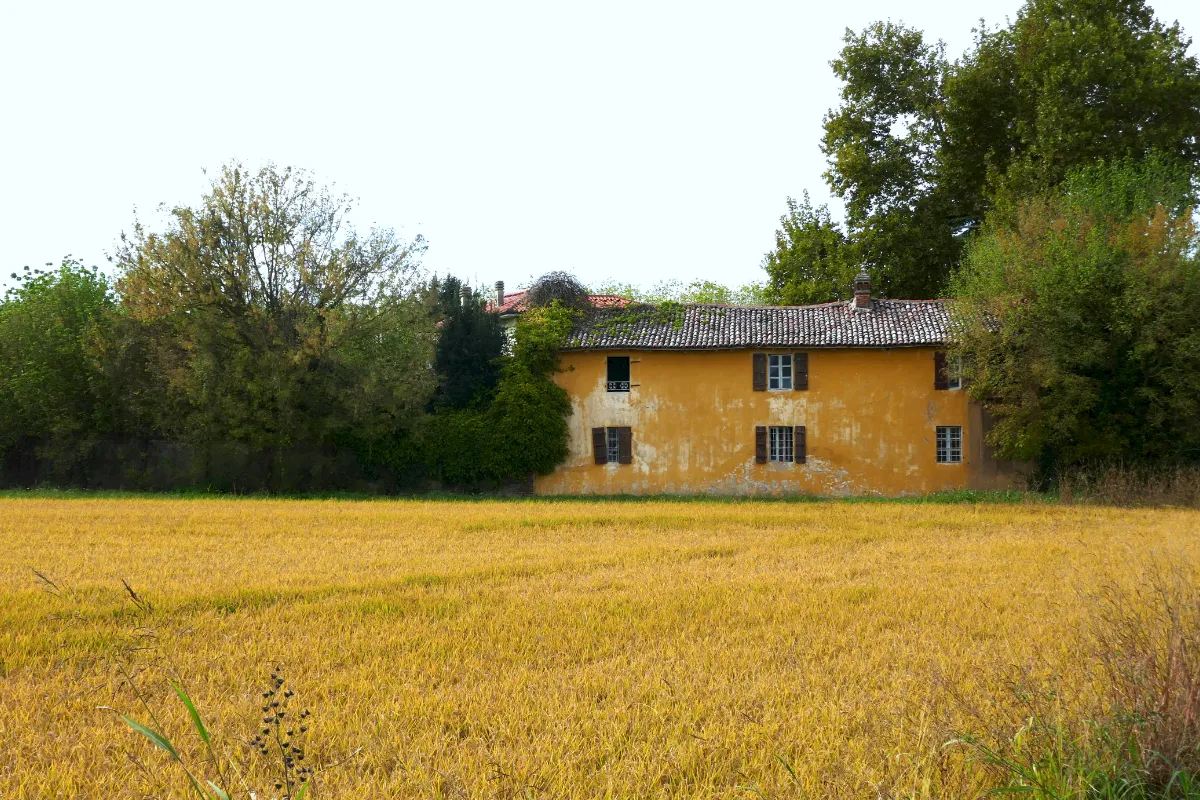 Reism&uuml;hle Riseria Masinari