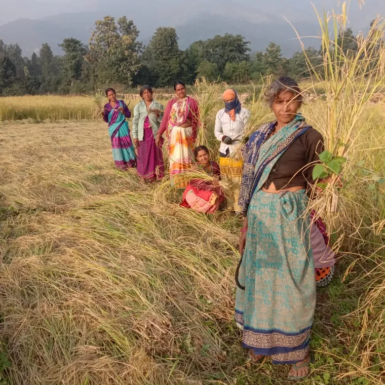Reisb&auml;uerinnen in Indien