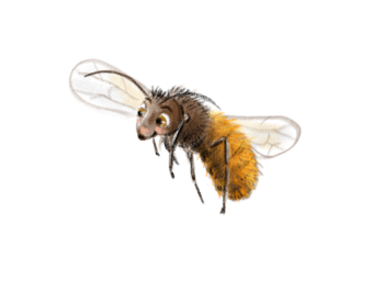 die kleine Biene Mira