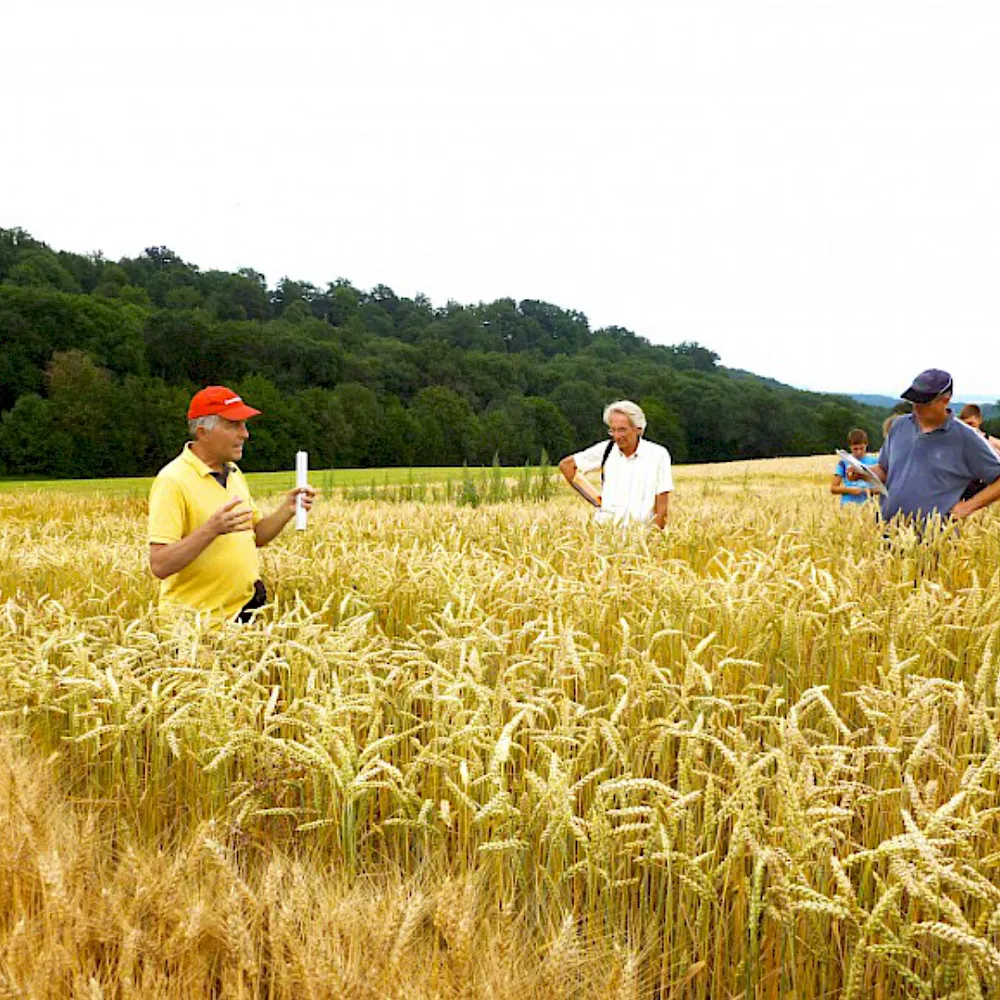 Getreidez&uuml;chter im Feld